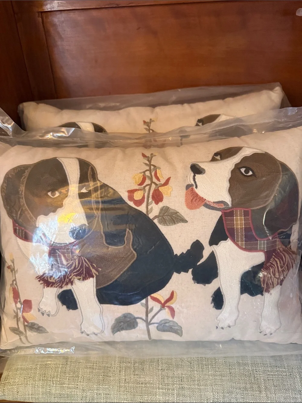 Perfect Set NWT Pier 1 Throw Pillow
